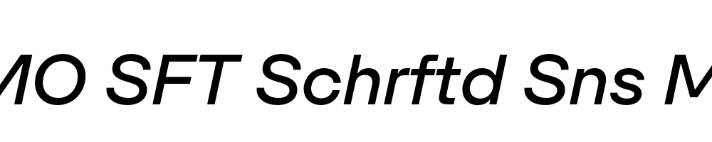 FSP DEMO SFT Schrftd Sns Mdm Italic