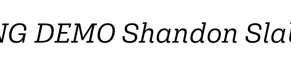  DEMO Shandon Slab Book Italic