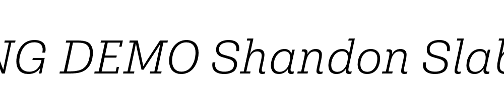  DEMO Shandon Slab Light Italic