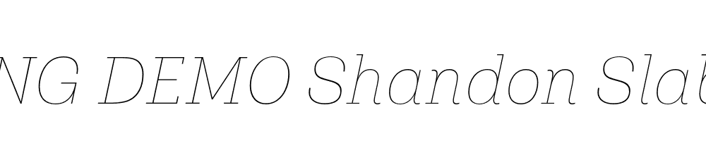  DEMO Shandon Slab Thin Italic