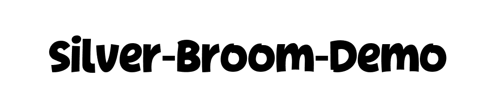 Silver-Broom-Demo