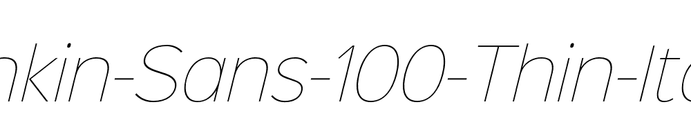 Sinkin-Sans-100-Thin-Italic