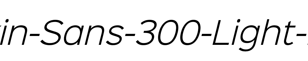 Sinkin-Sans-300-Light-Italic