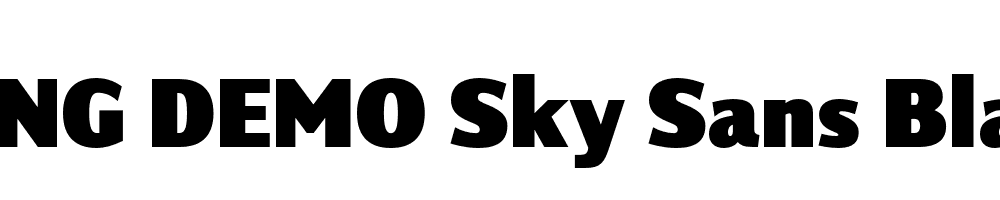  DEMO Sky Sans Black Regular