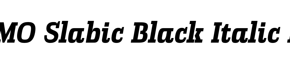 FSP DEMO Slabic Black Italic Regular