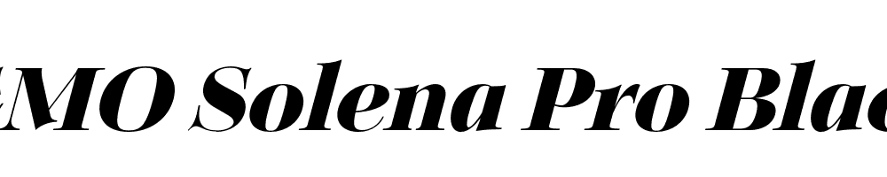 FSP DEMO Solena Pro Black Italic