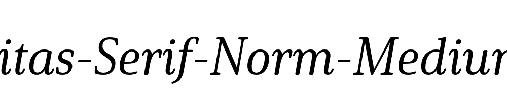 Solitas-Serif-Norm-Medium-It
