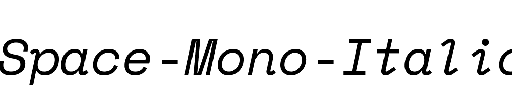 Space-Mono-Italic