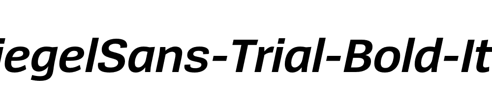 SpiegelSans-Trial-Bold-Italic