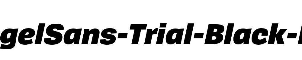 SpiegelSans-Trial-Black-Italic