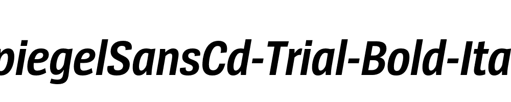 SpiegelSansCd-Trial-Bold-Italic