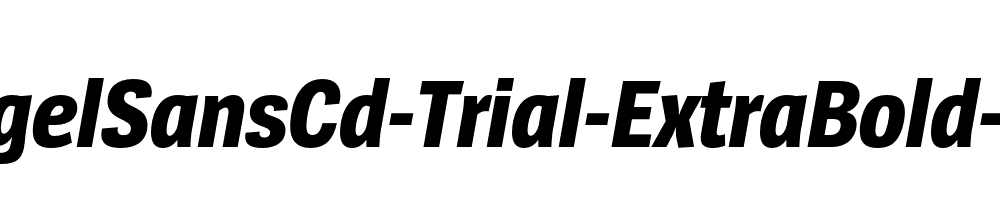 SpiegelSansCd-Trial-ExtraBold-Italic