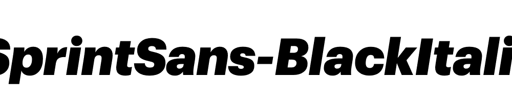 SprintSans-BlackItalic