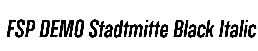 FSP DEMO Stadtmitte Black Italic