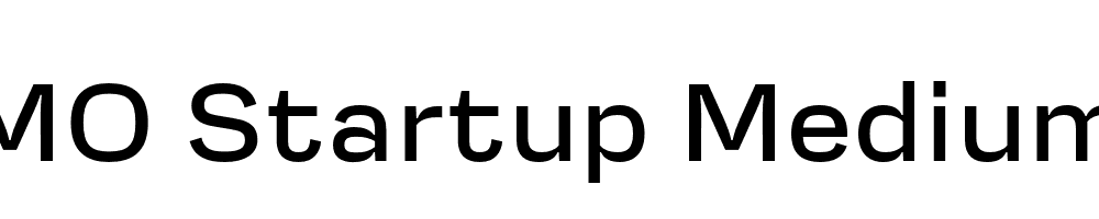 FSP DEMO Startup Medium Regular