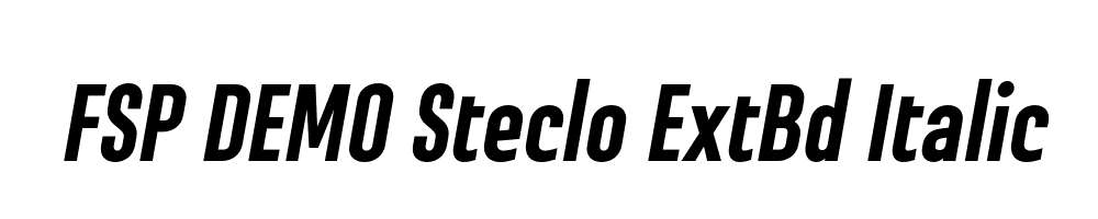 FSP DEMO Steclo ExtBd Italic