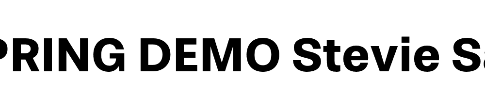  DEMO Stevie Sans Bold