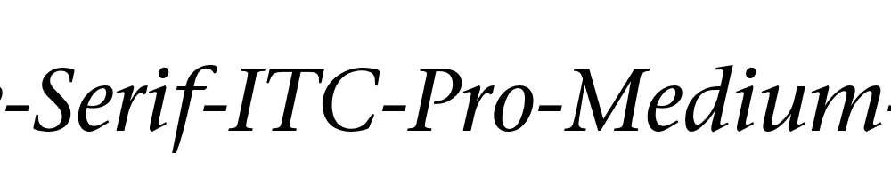 Stone-Serif-ITC-Pro-Medium-Italic