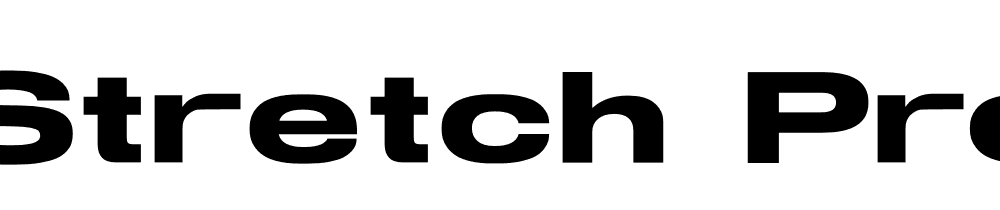 Stretch Pro