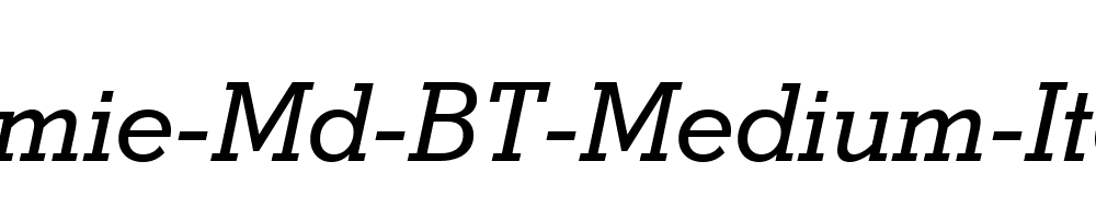 Stymie-Md-BT-Medium-Italic