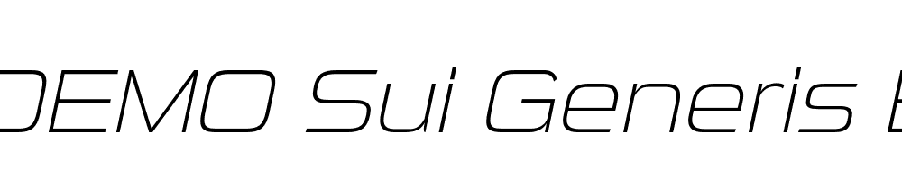 FSP DEMO Sui Generis El Italic