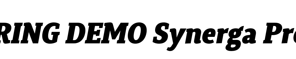  DEMO Synerga Pro Bk Italic