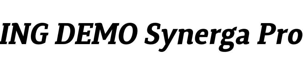  DEMO Synerga Pro Bold Italic