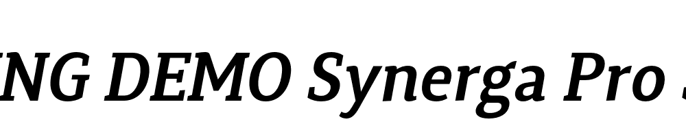  DEMO Synerga Pro SmBd Italic