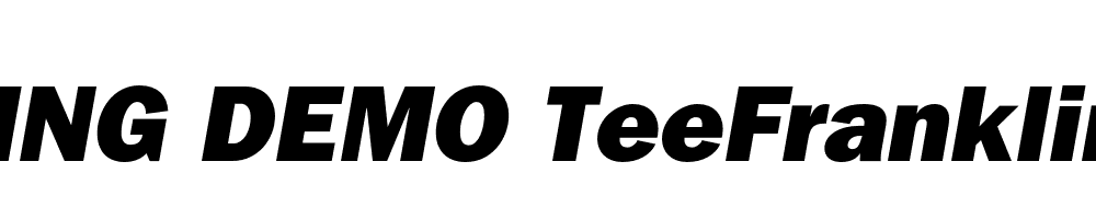  DEMO TeeFranklin He Italic