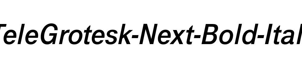 TeleGrotesk-Next-Bold-Italic