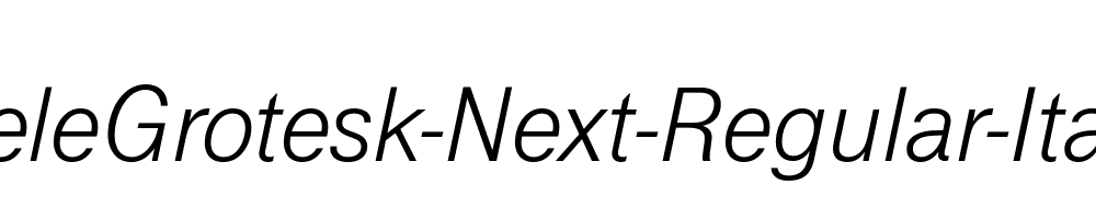 TeleGrotesk-Next-Regular-Italic