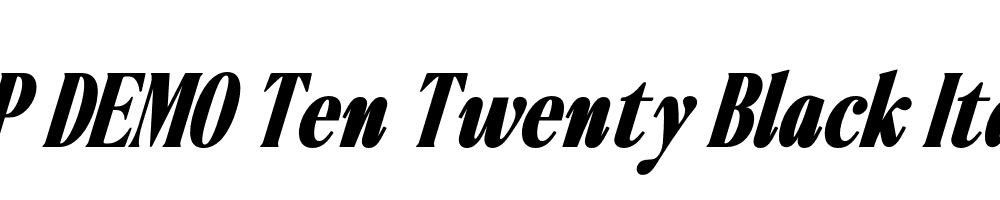 FSP DEMO Ten Twenty Black Italic