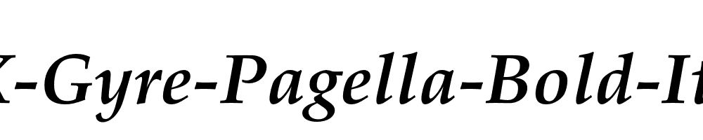 TeX-Gyre-Pagella-Bold-Italic