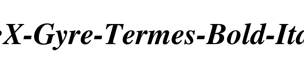 TeX-Gyre-Termes-Bold-Italic