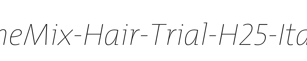 TheMix-Hair-Trial-H25-Italic