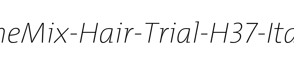 TheMix-Hair-Trial-H37-Italic