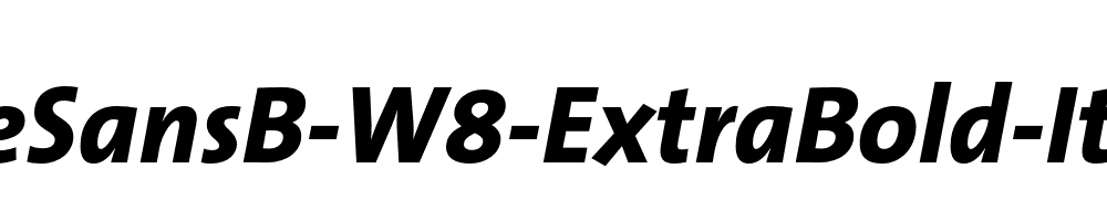 TheSansB-W8-ExtraBold-Italic