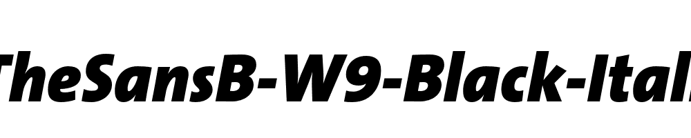 TheSansB-W9-Black-Italic