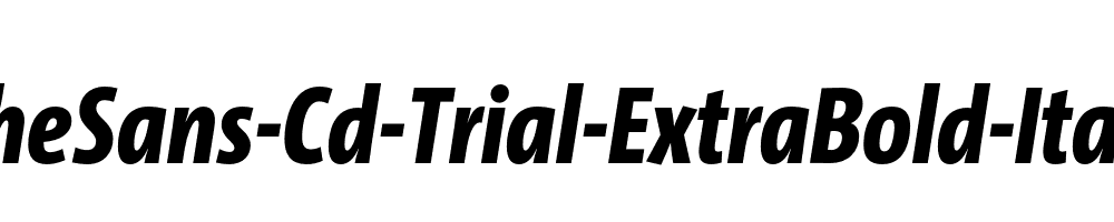 TheSans-Cd-Trial-ExtraBold-Italic