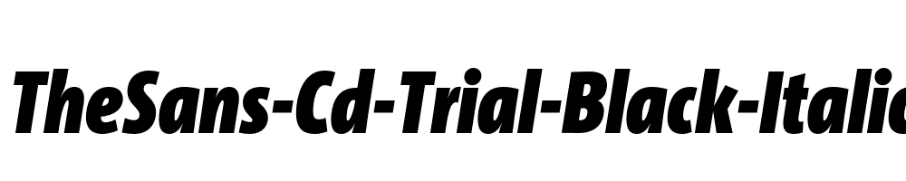 TheSans-Cd-Trial-Black-Italic