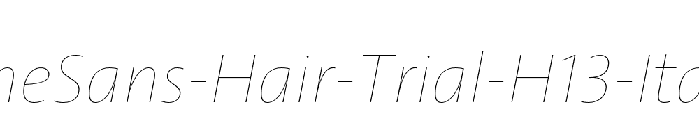 TheSans-Hair-Trial-H13-Italic