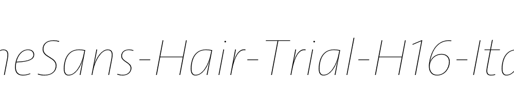 TheSans-Hair-Trial-H16-Italic