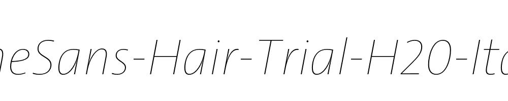 TheSans-Hair-Trial-H20-Italic