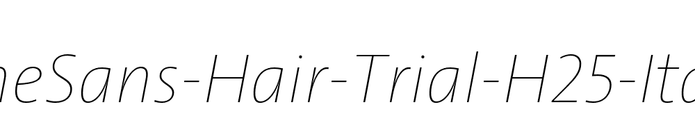 TheSans-Hair-Trial-H25-Italic