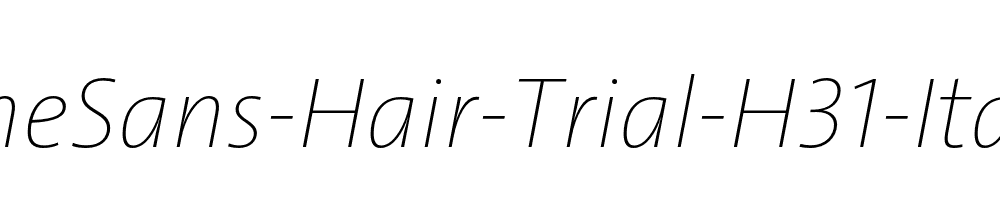 TheSans-Hair-Trial-H31-Italic