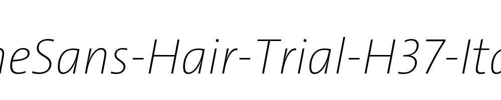 TheSans-Hair-Trial-H37-Italic