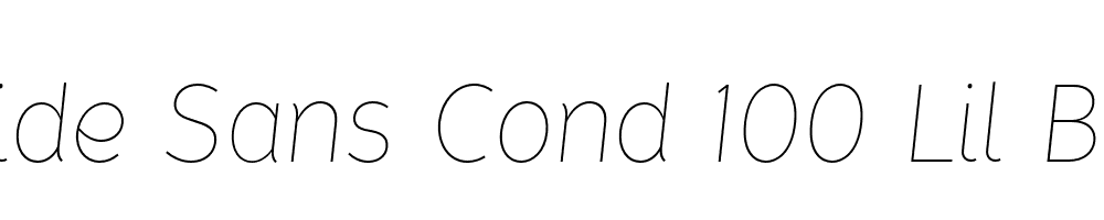  DEMO Tide Sans Cond 100 Lil Bunny Italic