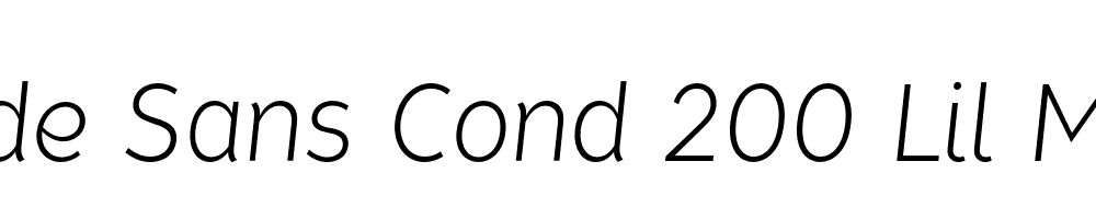  DEMO Tide Sans Cond 200 Lil Mondo Italic