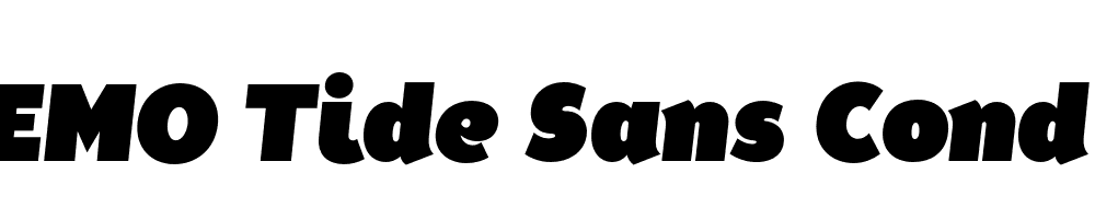  DEMO Tide Sans Cond 900 Dude Italic