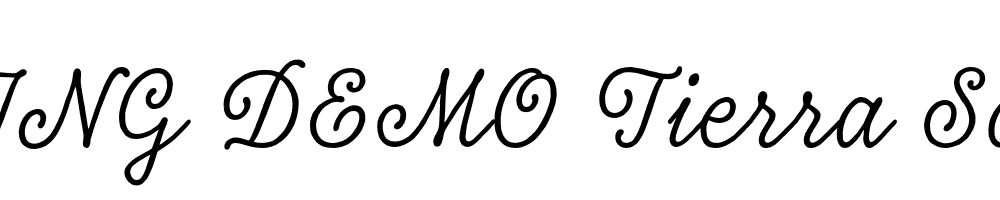  DEMO Tierra Script Regular